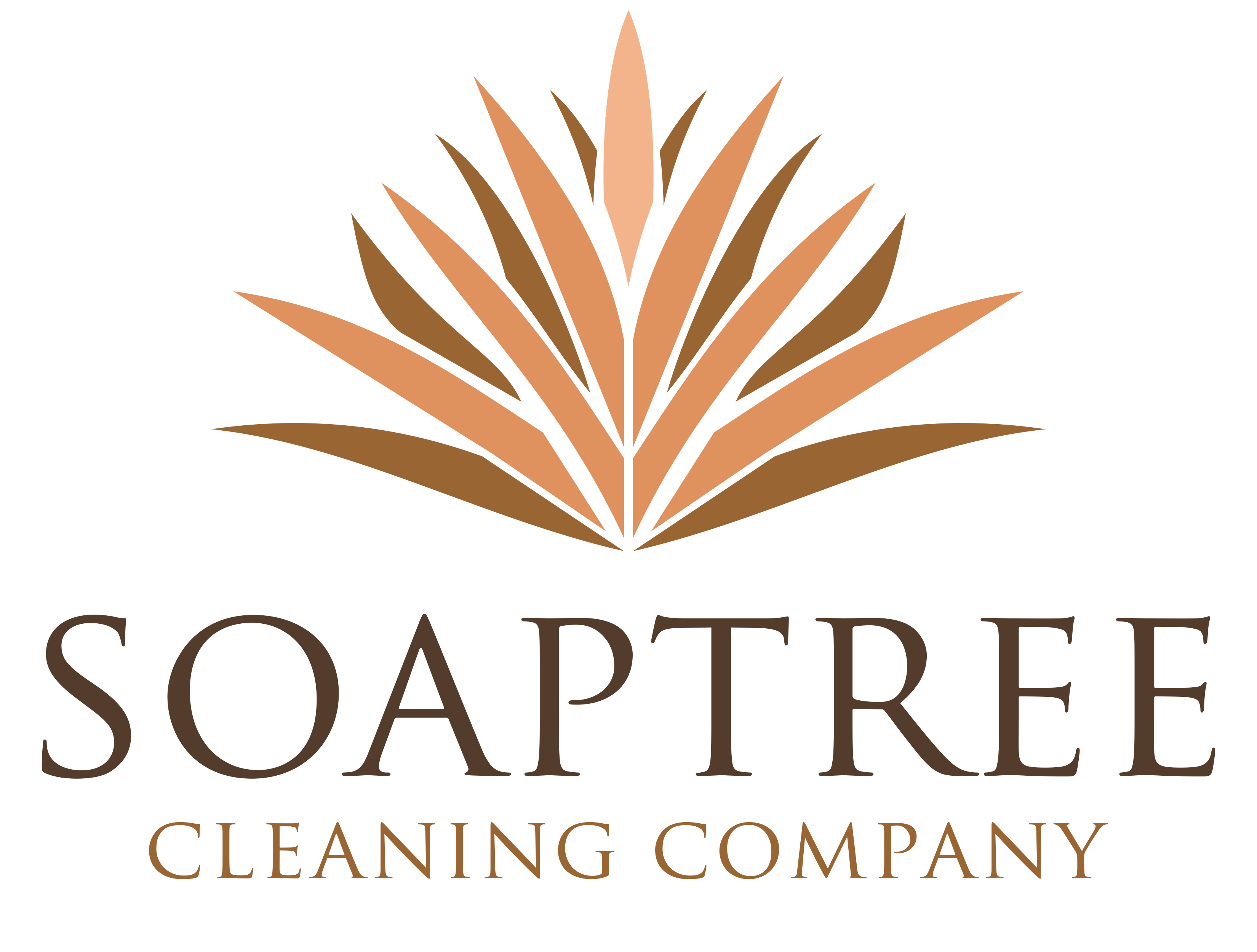 Soaptree
